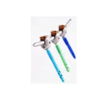 Transpedicalur screw fixation