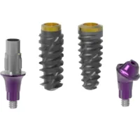 Sanat Smile Nexus ve Protinus