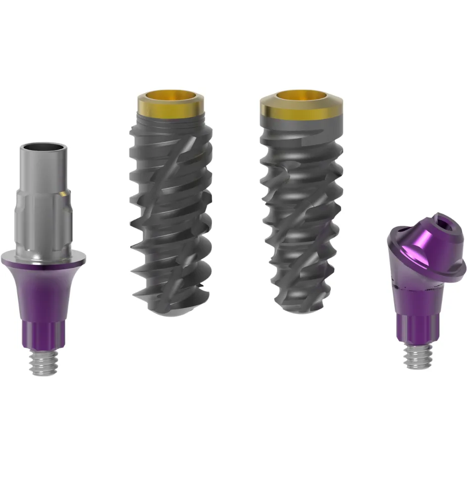 Sanat Smile Nexus ve Protinus